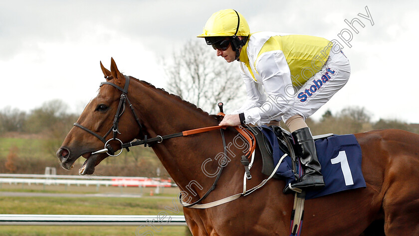 King s-Advice-0001 
 KING'S ADVICE (Joe Fanning) before The Betway Live Casino Handicap
Lingfield 2 Mar 2019 - Pic Steven Cargill / Racingfotos.com