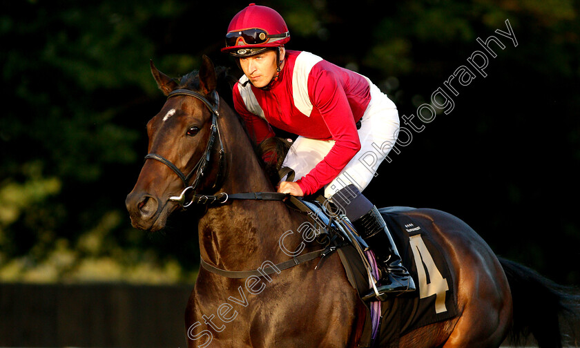 Magical-Rhythms-0002 
 MAGICAL RHYTHMS (Nicky Mackay)
Newmarket 28 Jun 2019 - Pic Steven Cargill / Racingfotos.com