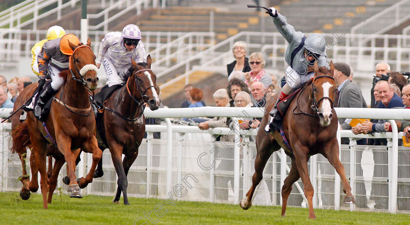 Lunar-Jet-0002 
 LUNAR JET (Jimmy Quinn) beats ZAMPERINI (left) in The Fuller Smith & Turner Plc Handicap Goodwood 27 Sep 2017 - Pic Steven Cargill / Racingfotos.com