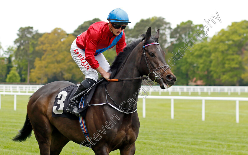 Queenlet-0003 
 QUEENLET (Tom Marquand)
Ascot 27 Apr 2022 - Pic Steven Cargill / Racingfotos.com