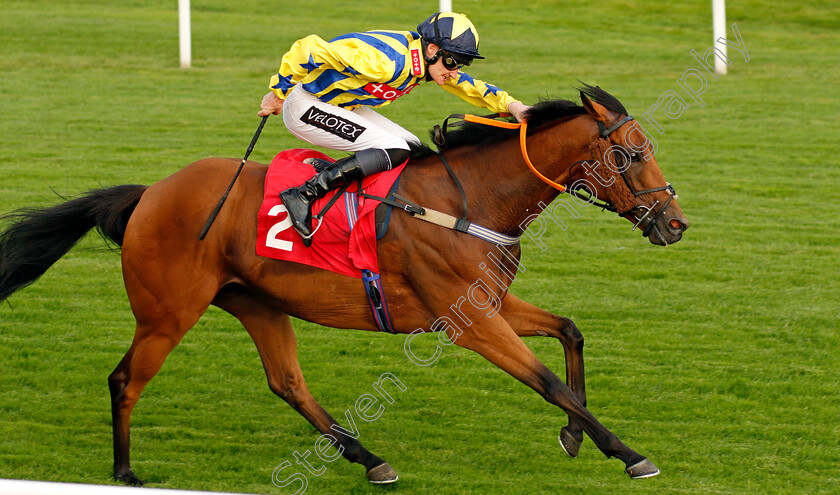 Lyndon-B-0005 
 LYNDON B (Daniel Muscutt) wins The Hwfa Williams Handicap
Sandown 21 Jul 2021 - Pic Steven Cargill / Racingfotos.com