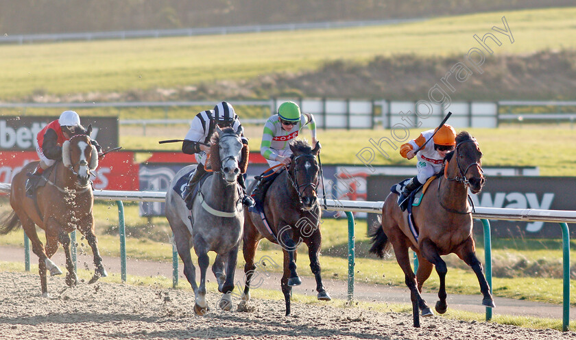 Royal-Dynasty-0001 
 ROYAL DYNASTY (Jason Hart) wins The Betway Handicap
Lingfield 8 Feb 2020 - Pic Steven Cargill / Racingfotos.com