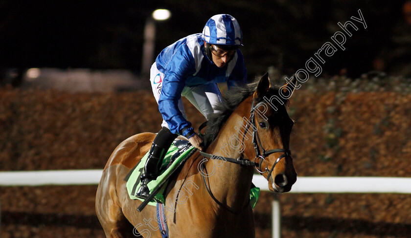 Manaabit-0001 
 MANAABIT (P J McDonald)
Kempton 29 Jan 2020 - Pic Steven Cargill / Racingfotos.com