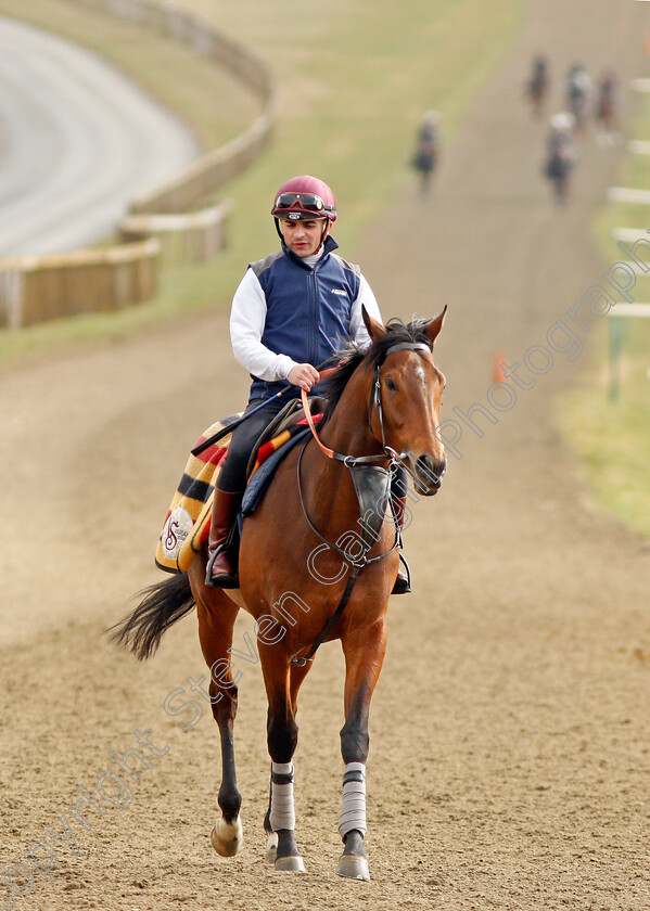 Willie-John-0003 
 WILLIE JOHN (Andrea Atzeni) walk back to their stables after exercising on Warren Hill Newmarket 23 Mar 2018 - Pic Steven Cargill / Racingfotos.com