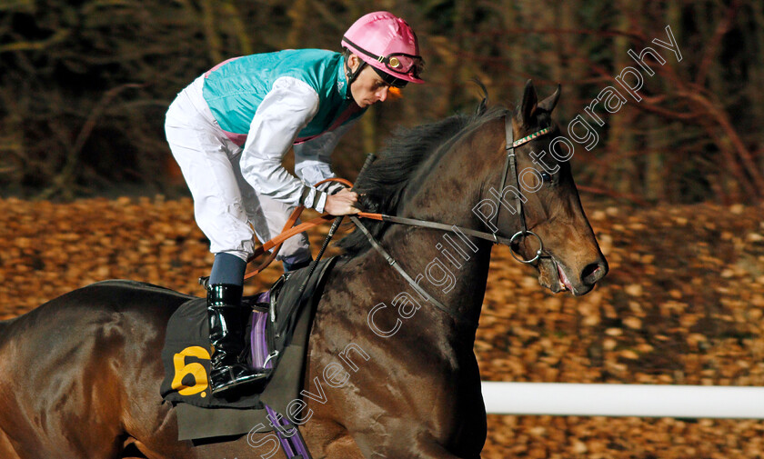 Rondo-0001 
 RONDO (Kieran Shoemark)
Kempton 19 Feb 2020 - Pic Steven Cargill / Racingfotos.com