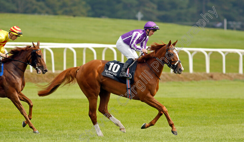 Red-Riding-Hood-0001 
 RED RIDING HOOD (Gary Carroll)
The Curragh 10 Sep 2023 - Pic Steven Cargill / Racingfotos.com