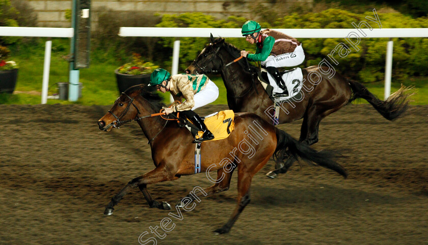 Inevitable-Outcome-0005 
 INEVITABLE OUTCOME (Callum Shepherd) wins The 32Red.com Handicap
Kempton 17 Feb 2020 - Pic Steven Cargill / Racingfotos.com