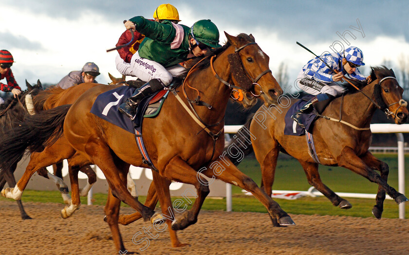 Pulsating-0002 
 PULSATING (Edward Greatrex) beats BILLYOAKES (right) in The Betway Sprint Handicap Wolverhampton 4 Jan 2018 - Pic Steven Cargill / Racingfotos.com