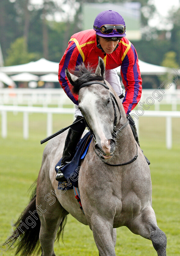 Andreas-Vesalius-0001 
 ANDREAS VESALIUS (Shane Crosse)
Ascot 17 Jun 2021 - Pic Steven Cargill / Racingfotos.com