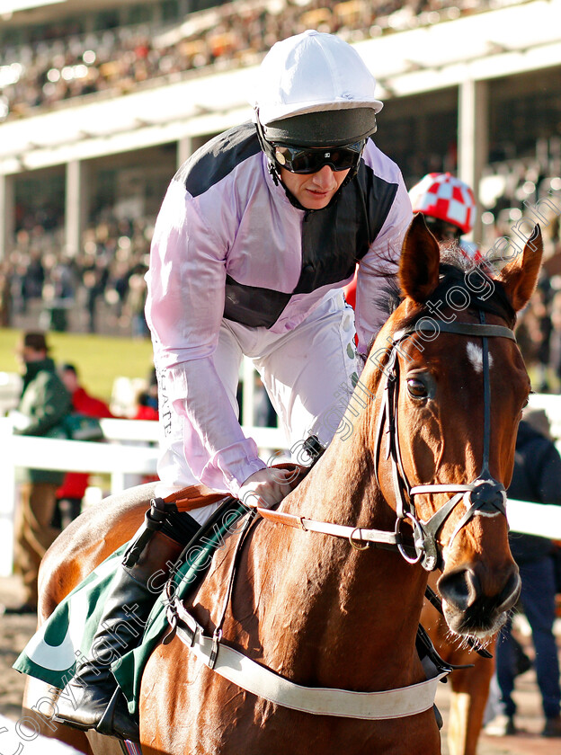 It s-Got-Legs-0001 
 IT'S GOT LEGS (Jamie Moore) Cheltenham 15 Dec 2017 - Pic Steven Cargill / Racingfotos.com