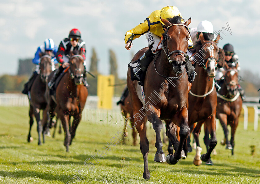 Beshaayir-0003 
 BESHAAYIR (Ryan Moore) wins The British Stallion Studs EBF Maiden Stakes Div2 Newbury 22 Sep 2017 - Pic Steven Cargill / Racingfotos.com