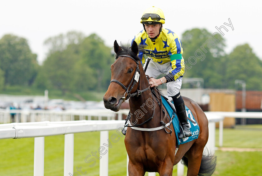 Sue s-Little-Angel-0001 
 SUE'S LITTLE ANGEL (Cam Hardie)
York 18 May 2023 - Pic Steven Cargill / Racingfotos.com