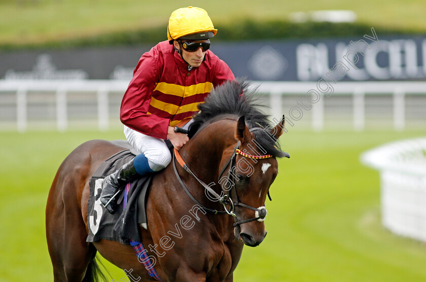 Iberian-0001 
 IBERIAN (William Buick)
Goodwood 1 Aug 2023 - Pic Steven Cargill / Racingfotos.com