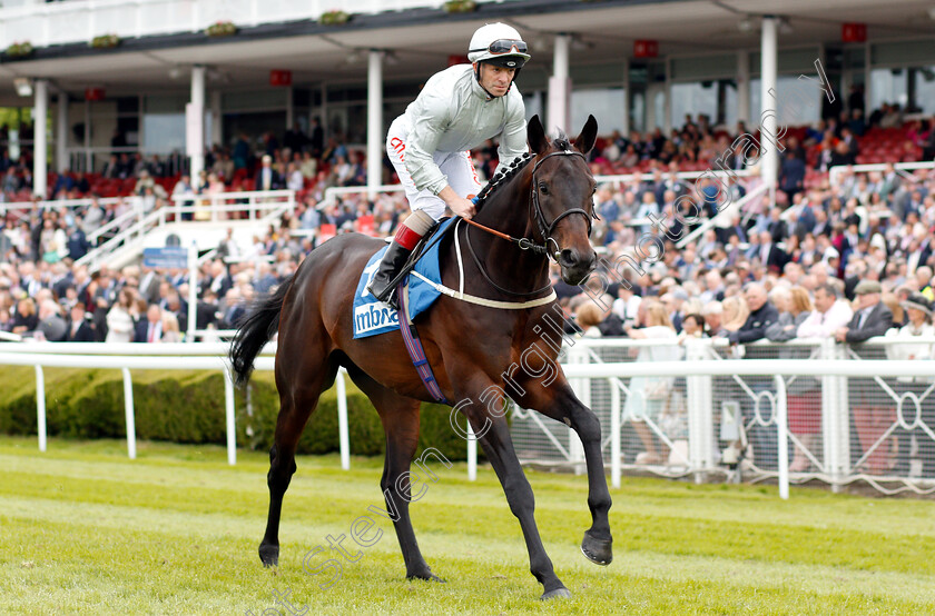 Dee-Ex-Bee-0001 
 DEE EX BEE (Franny Norton)
Chester 9 May 2018 - Pic Steven Cargill / Racingfotos.com