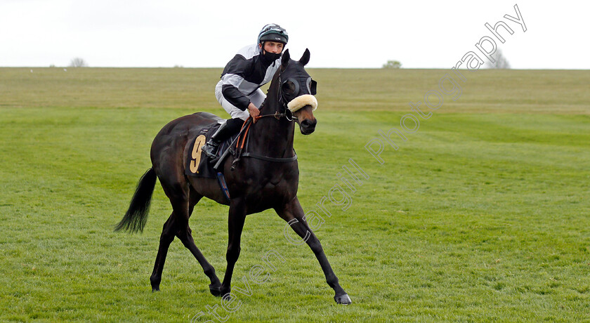 Bezzas-Lad-0001 
 BEZZAS LAD (Frederick Larson)
Newmarket 14 May 2021 - Pic Steven Cargill / Racingfotos.com