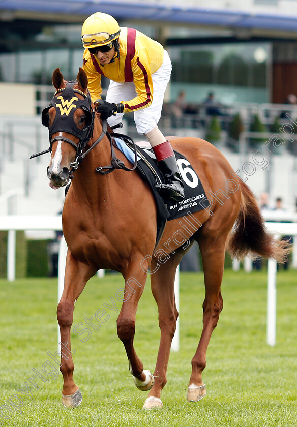 Lady-Pauline-0005 
 LADY PAULINE (John Velazquez)
Ascot 1 May 2019 - Pic Steven Cargill / Racingfotos.com