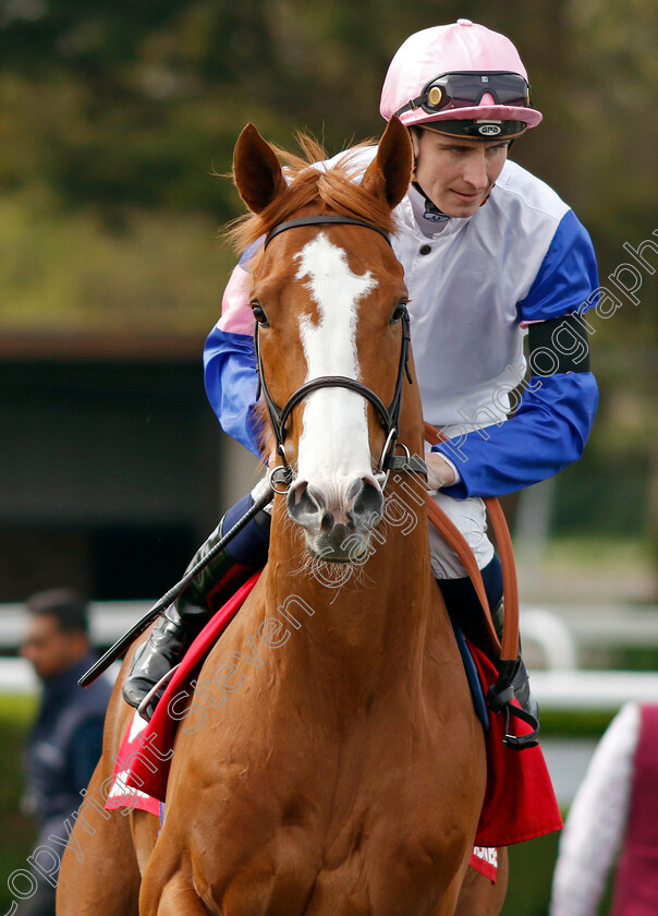 Captain-Wierzba-0001 
 CAPTAIN WIERZBA (Hector Crouch)
Kempton 6 Apr 2024 - Pic Steven Cargill / Racingfotos.com