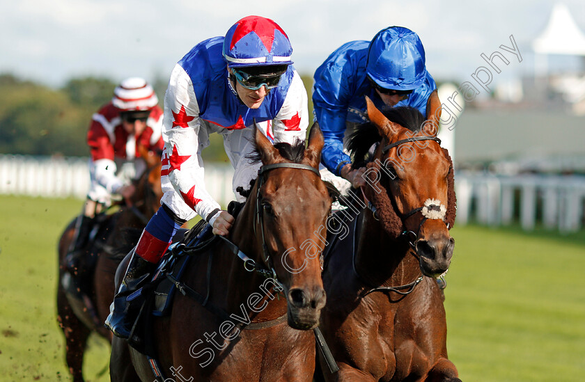 Great-Hall-0005 
 GREAT HALL (left, Fran Berry) beats ALQAMAR (right) in The Victoria Racing Club Handicap Ascot 8 Sep 2017 - Pic Steven Cargill / Racingfotos.com