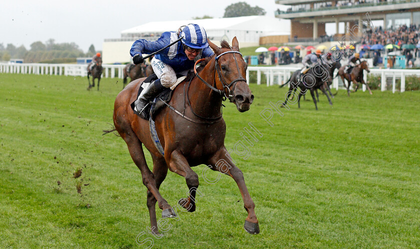 Aldaary-0002 
 ALDAARY (Jim Crowley) wins The Equine Productions The Fall Challenge Cup Handicap
Ascot 2 Oct 2021 - Pic Steven Cargill / Racingfotos.com