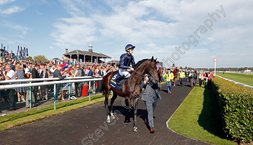 Sir-Dragonet-0001 
 SIR DRAGONET (Donnacha O'Brien)
Doncaster 14 Sep 2019 - Pic Steven Cargill / Racingfotos.com