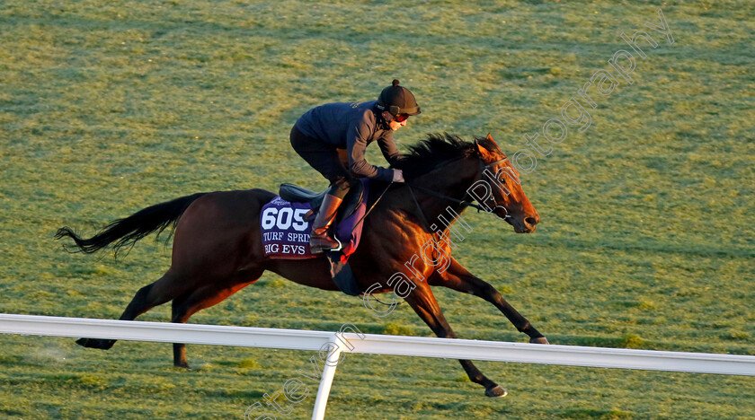 Big-Evs-0002 
 BIG EVS training for the Breeders' Cup Juvenile Turf Sprint
Del Mar USA 30 Oct 2024 - Pic Steven Cargill / Racingfotos.com