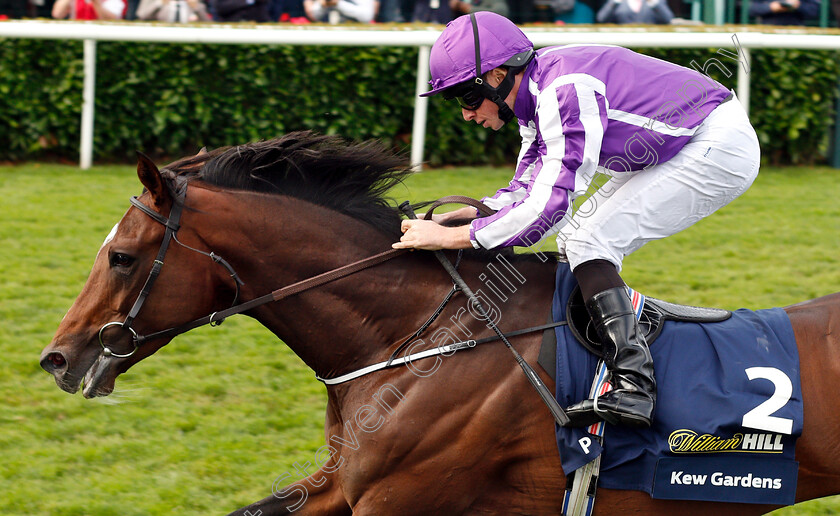 Kew-Gardens-0009 
 KEW GARDENS (Ryan Moore) wins The William Hill St Leger
Doncaster 15 Sep 2018 - Pic Steven Cargill / Racingfotos.com