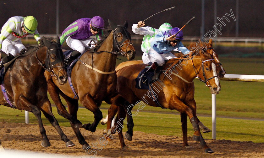 Nezar-0002 
 NEZAR (right, Sophie Ralston) beats THE ESTABLISHMENT (2nd left) and MOUNT WELLINGTON (left) in The Bombardier British Hopped Amber Beer Handicap
Wolverhampton 3 Jan 2020 - Pic Steven Cargill / Racingfotos.com