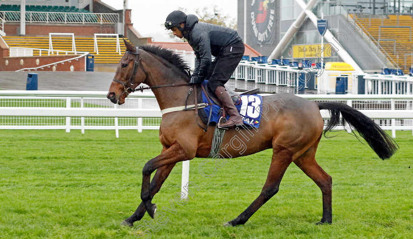 Coole-Cody-0001 
 COOLE CODY (Lewis Gordon) at Coral Gold Cup Weekend Gallops Morning
Newbury 15 Nov 2022 - Pic Steven Cargill / Racingfotos.com