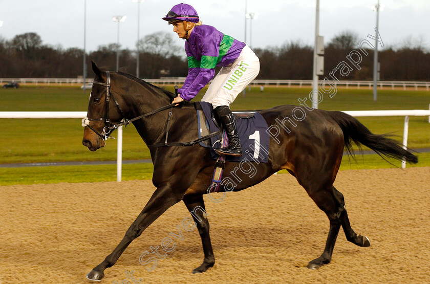 Heavenly-Holly-0002 
 HEAVENLY HOLLY (Josephine Gordon) winner of The sunracing.co.uk Novice Stakes
Wolverhampton 28 Nov 2018 - Pic Steven Cargill / Racingfotos.com