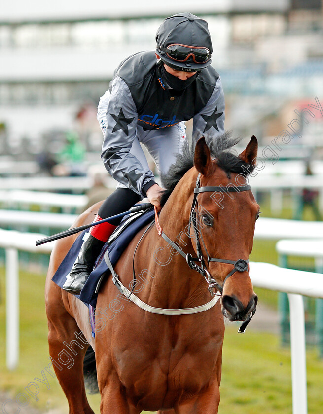 Skontonovski-0001 
 SKONTONOVSKI (Angus Villiers)
Doncaster 28 Mar 2021 - Pic Steven Cargill / Racingfotos.com