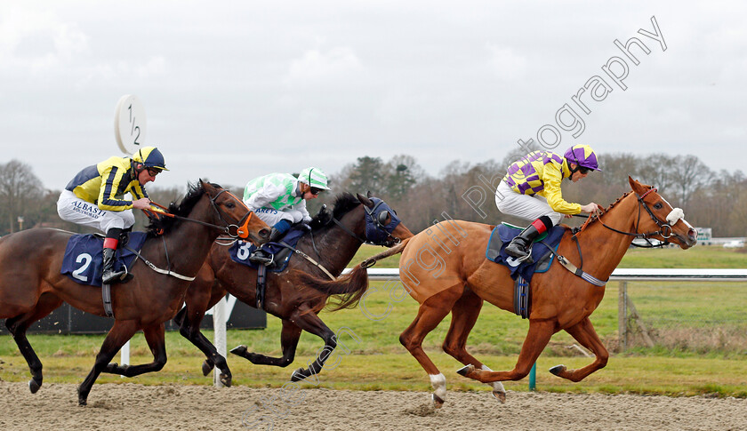 Gold-Brocade-0003 
 GOLD BROCADE (Ben Curtis) wins The Ladbrokes Where The Nation Plays Handicap
Lingfield 2 Jan 2020 - Pic Steven Cargill / Racingfotos.com