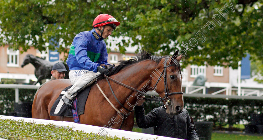 Wells-Farhh-Go 
 WELLS FARHH GO (David Allan)
Ascot 2 Oct 2021 - Pic Steven Cargill / Racingfotos.com