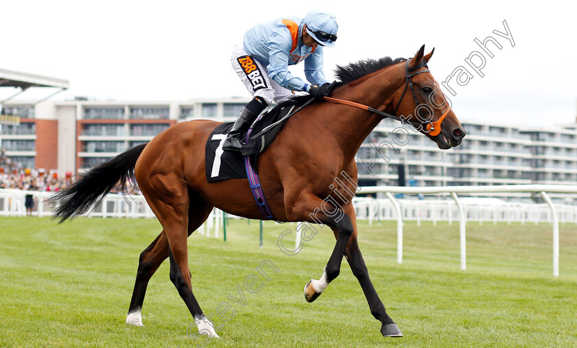 Raymond-Tusk-0001 
 RAYMOND TUSK (Silvestre De Sousa)
Newbury 18 Aug 2018 - Pic Steven Cargill / Racingfotos.com