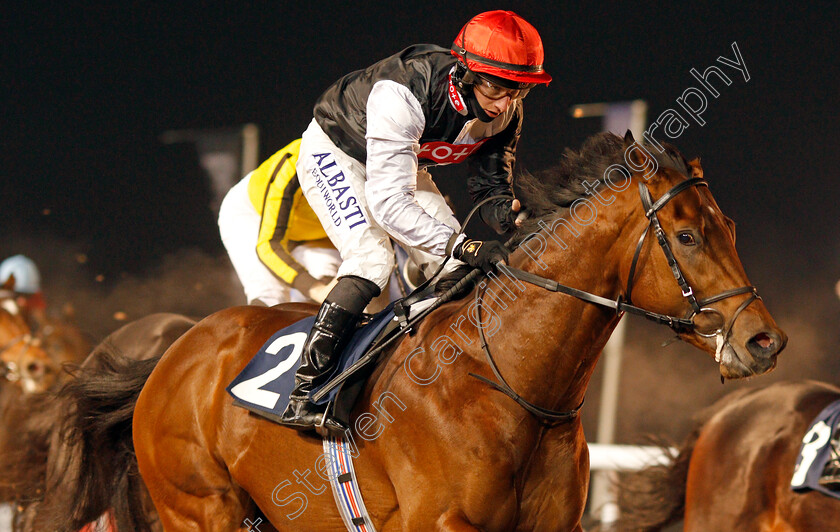 Alto-Volante-0011 
 ALTO VOLANTE (Tom Marquand) wins The Get Your Ladbrokes Odds Boost Novice Stakes
Wolverhampton 7 Jan 2021 - Pic Steven Cargill / Racingfotos.com