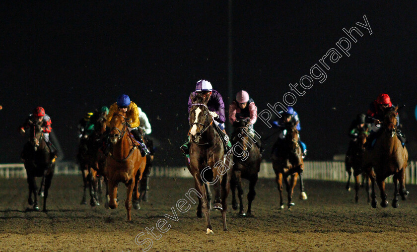 Kingmax-0003 
 KINGMAX (David Egan) wins The Unibet Novice Stakes
Kempton 2 Mar 2022 - Pic Steven Cargill / Racingfotos.com