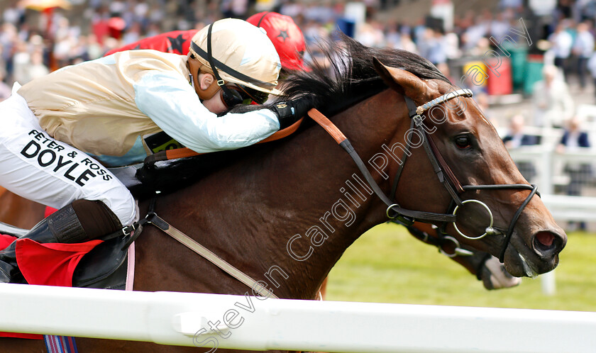 Julius-Limbani-0002 
 JULIUS LIMBANI (Hollie Doyle) wins The Download The App At 188bet EBF Maiden Stakes
Sandown 15 Jun 2018 - Pic Steven Cargill / Racingfotos.com