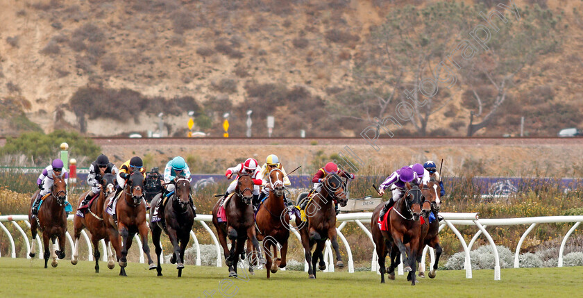 Mendelssohn-0010 
 MENDELSSOHN (right, Ryan Moore) wins The Breeders' Cup Juvenile Turf, Del Mar USA 3 Nov 2017 - Pic Steven Cargill / Racingfotos.com