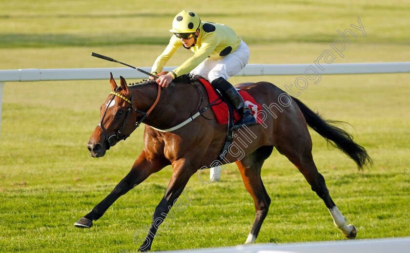 Elite-Status-0003 
 ELITE STATUS (Clifford Lee) wins The Racehorse Lotto National Stakes
Sandown 25 May 2023 - Pic Steven Cargill / Racingfotos.com