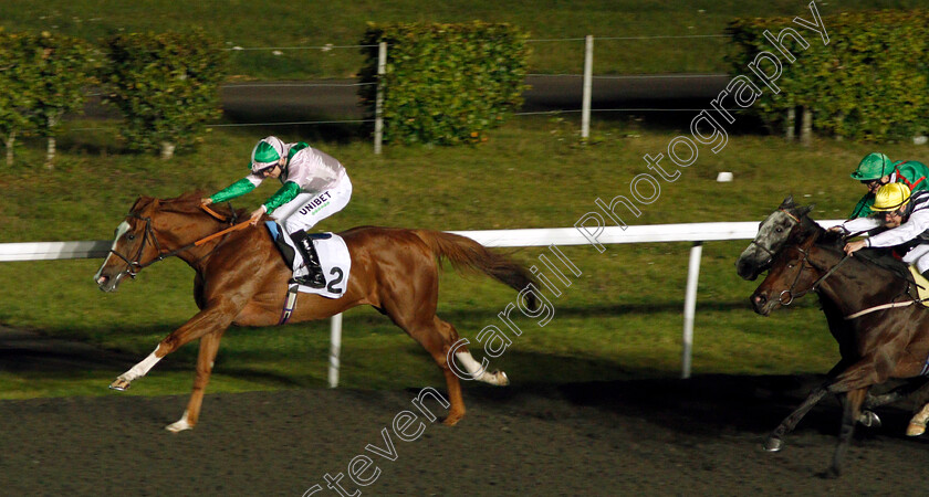 State-Of-Affair-0001 
 STATE OF AFFAIR (Jamie Spencer) beats CITY TOUR (right) in The 100% Profit Boost At 32redsport.com Handicap
Kempton 2 Oct 2019 - Pic Steven Cargill / Racingfotos.com