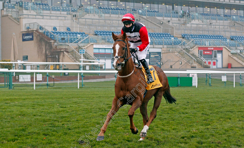 Now-Children-0001 
 NOW CHILDREN (Robert Havlin)
Doncaster 7 Nov 2020 - Pic Steven Cargill / Racingfotos.com