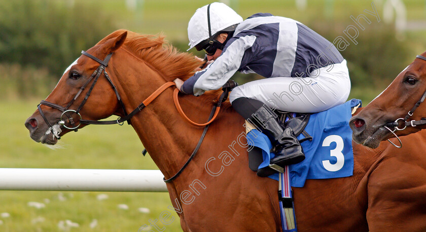 Dante s-View-0004 
 DANTE'S VIEW (Ryan Moore)
Leicester 10 Sep 2019 - Pic Steven Cargill / Racingfotos.com