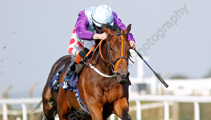 Hold-A-Dream-0003 
 HOLD A DREAM (Rossa Ryan) wins The Britiish EBF Fillies Novice Stakes
Yarmouth 18 Sep 2024 - Pic Steven Cargill / Racingfotos.com