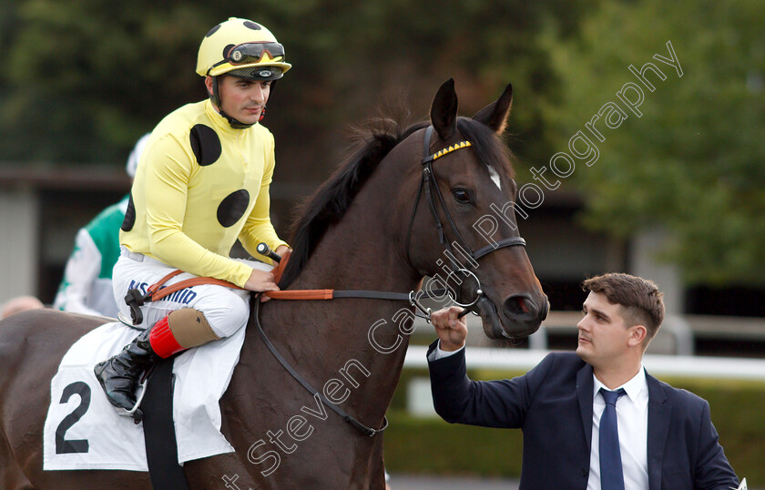 Elasia-0001 
 ELASIA (Andrea Atzeni) before winning The 32Red Fillies Novice Stakes
Kempton 8 Aug 2018 - Pic Steven Cargill / Racingfotos.com