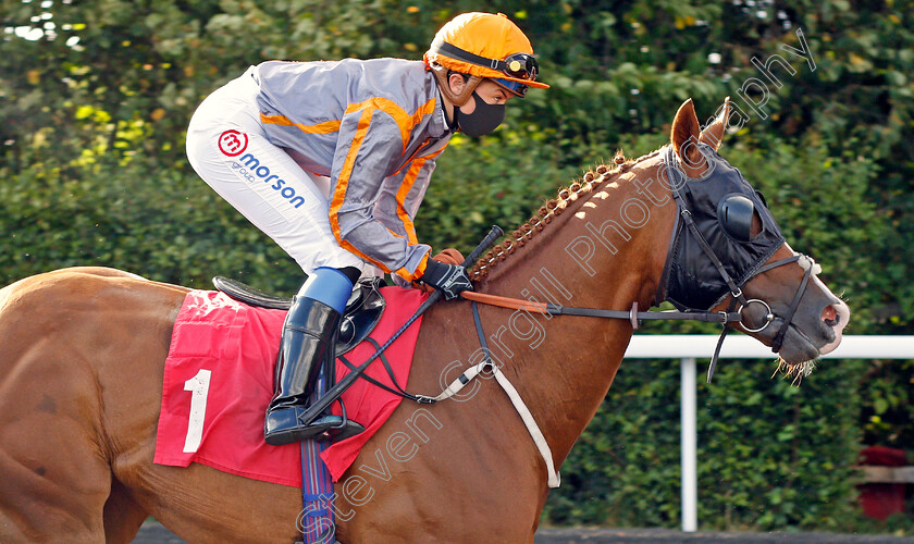 Flavius-Titus-0001 
 FLAVIUS TITUS (Megan Nicholls)
Kempton 18 Aug 2020 - Pic Steven Cargill / Racingfotos.com