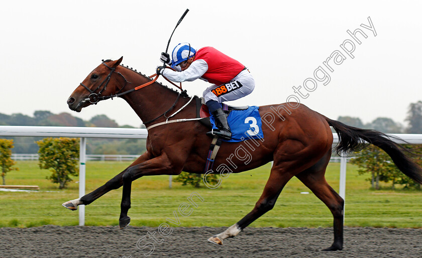 Knockout-Blow-0004 
 KNOCKOUT BLOW (Silvestre De Sousa) wins The Better Odds With Matchbook Novice Auction Stakes Kempton 25 Sep 2017 - Pic Steven Cargill / Racingfotos.com