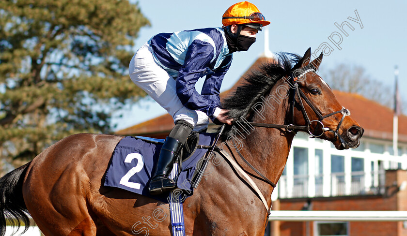 Percy-Willis-0003 
 PERCY WILLIS (Charles Bishop)
Lingfield 26 Feb 2021 - Pic Steven Cargill / Racingfotos.com