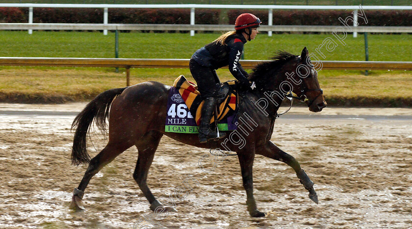 I-Can-Fly-0001 
 I CAN FLY exercising ahead of The Breeders' Cup Mile
Churchill Downs USA 1 Nov 2018 - Pic Steven Cargill / Racingfotos.com