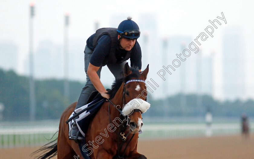 Koy-Koy-0001 
 KOY KOY training at the Dubai Racing Carnival 
Meydan 4 Jan 2024 - Pic Steven Cargill / Racingfotos.com