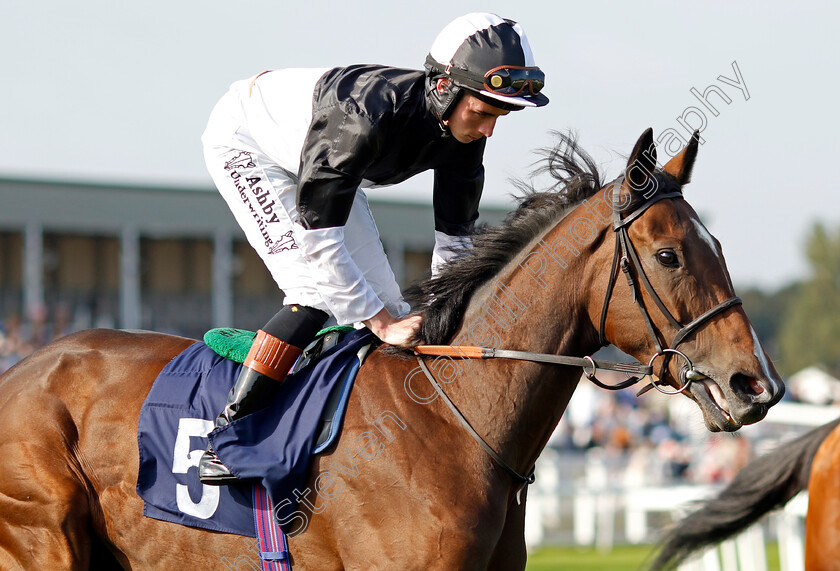 Lady-Boba-0001 
 LADY BOBA (Rossa Ryan)
Yarmouth 18 Sep 2024 - Pic Steven Cargill / Racingfotos.com