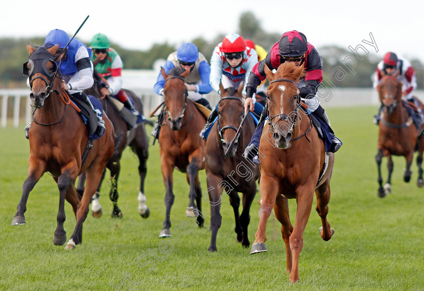 Awesomedude-0003 
 AWESOMEDUDE (John Egan) beats MOTAMAYIZ (left) in The Final Furlong Podcast Handicap
Yarmouth 28 Jul 2020 - Pic Steven Cargill / Racingfotos.com